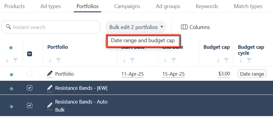 Portfolio budget and dates bulk edits